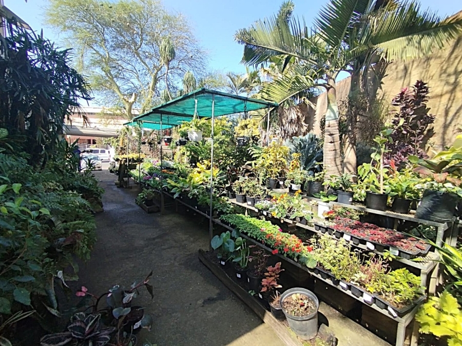 Commercial Property for Sale in Fynnland KwaZulu-Natal