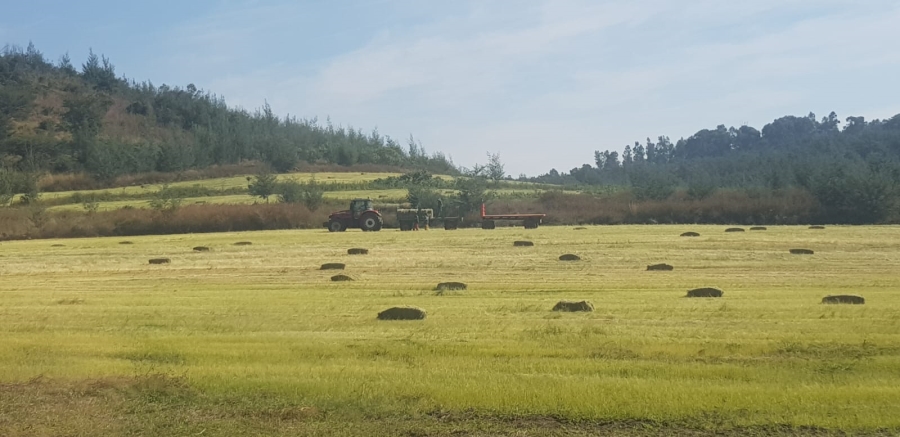 Commercial Property for Sale in Newcastle Rural KwaZulu-Natal