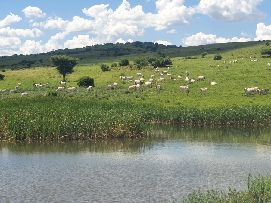 Commercial Property for Sale in Newcastle Rural KwaZulu-Natal