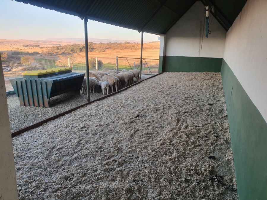 Commercial Property for Sale in Newcastle Rural KwaZulu-Natal