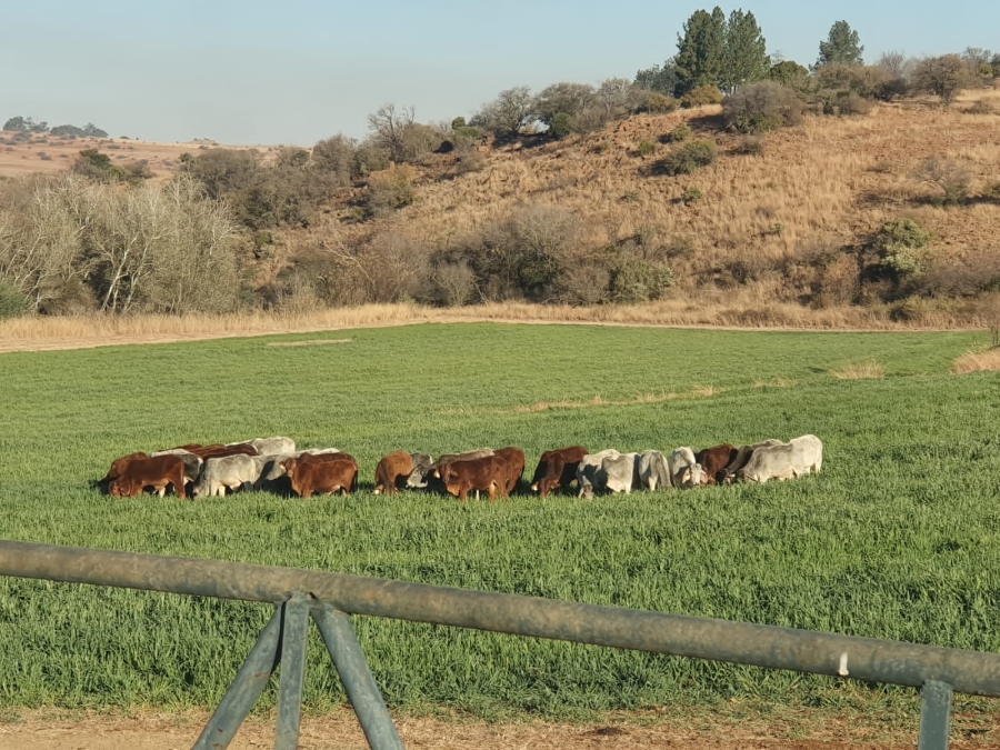 Commercial Property for Sale in Newcastle Rural KwaZulu-Natal