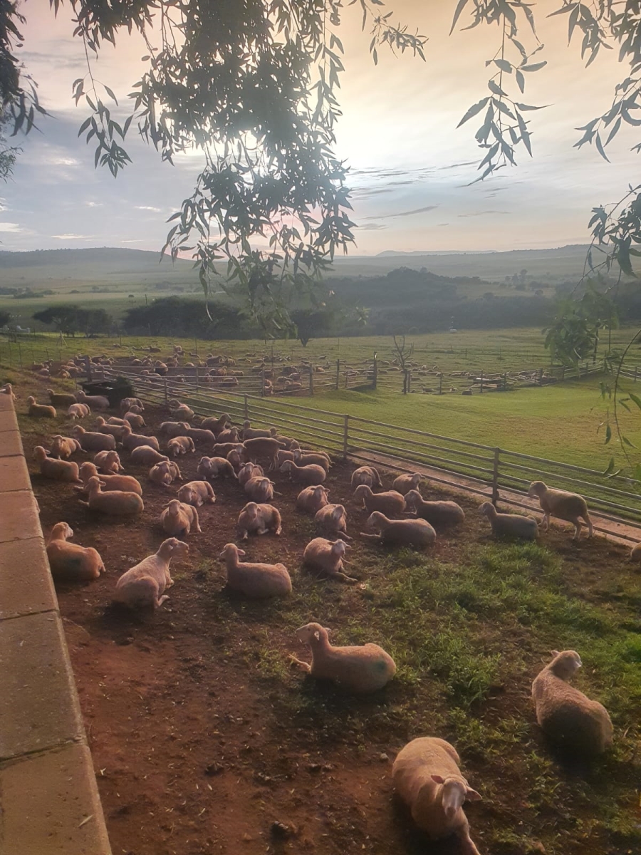 Commercial Property for Sale in Newcastle Rural KwaZulu-Natal