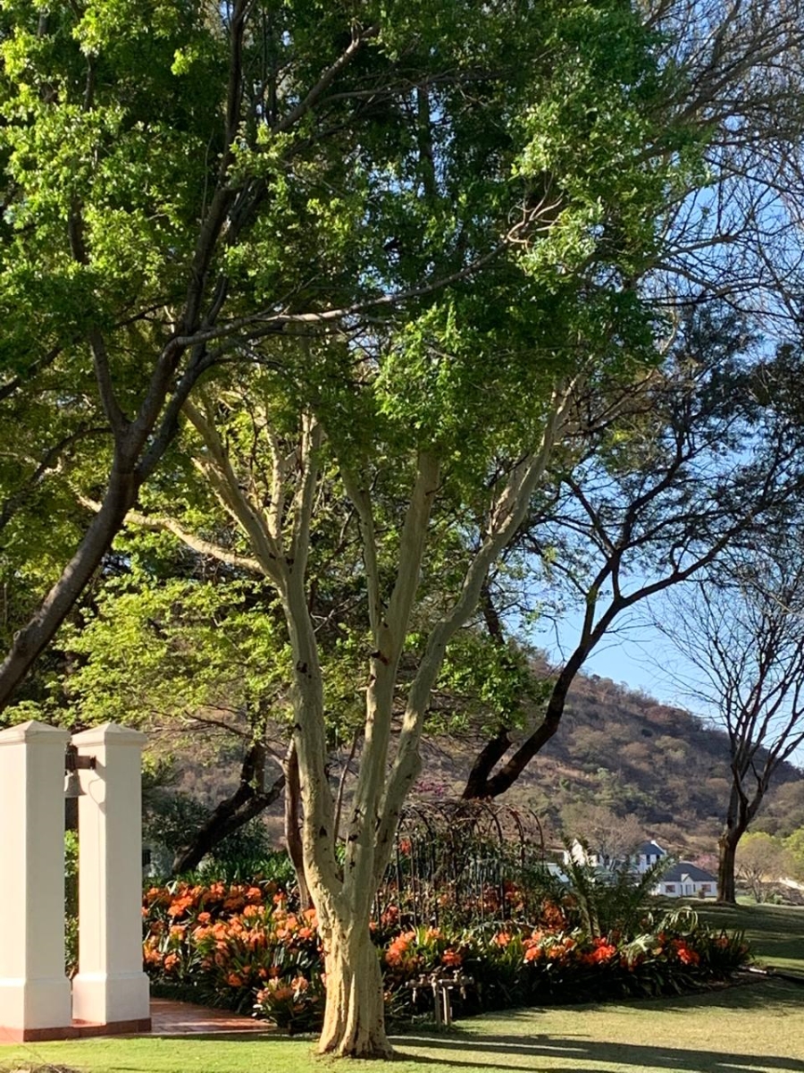 Commercial Property for Sale in Newcastle Rural KwaZulu-Natal