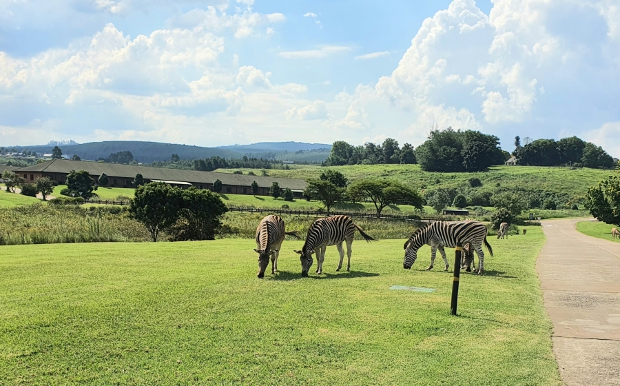 3 Bedroom Property for Sale in Amber Valley KwaZulu-Natal