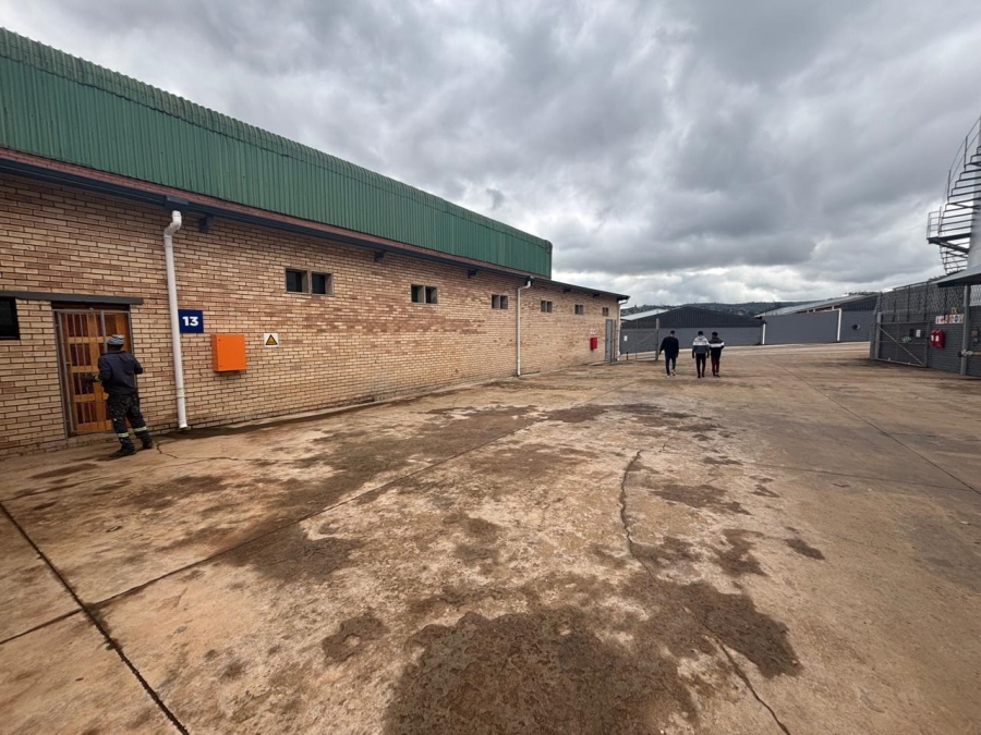 To Let commercial Property for Rent in Willowton KwaZulu-Natal