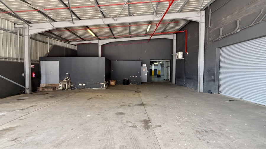 To Let commercial Property for Rent in Springfield KwaZulu-Natal
