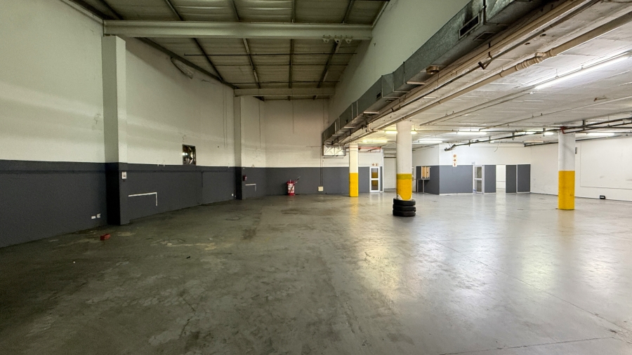 To Let commercial Property for Rent in Springfield KwaZulu-Natal