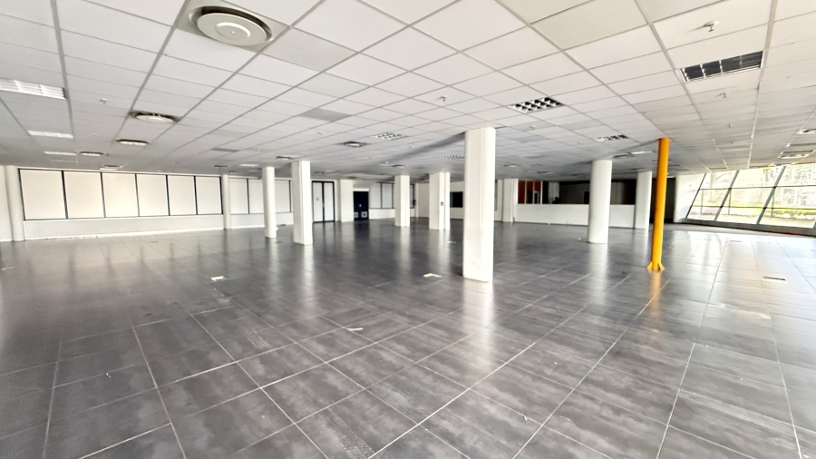 To Let commercial Property for Rent in Springfield KwaZulu-Natal