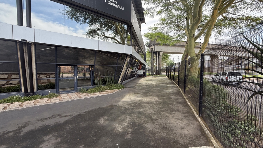 To Let commercial Property for Rent in Springfield KwaZulu-Natal