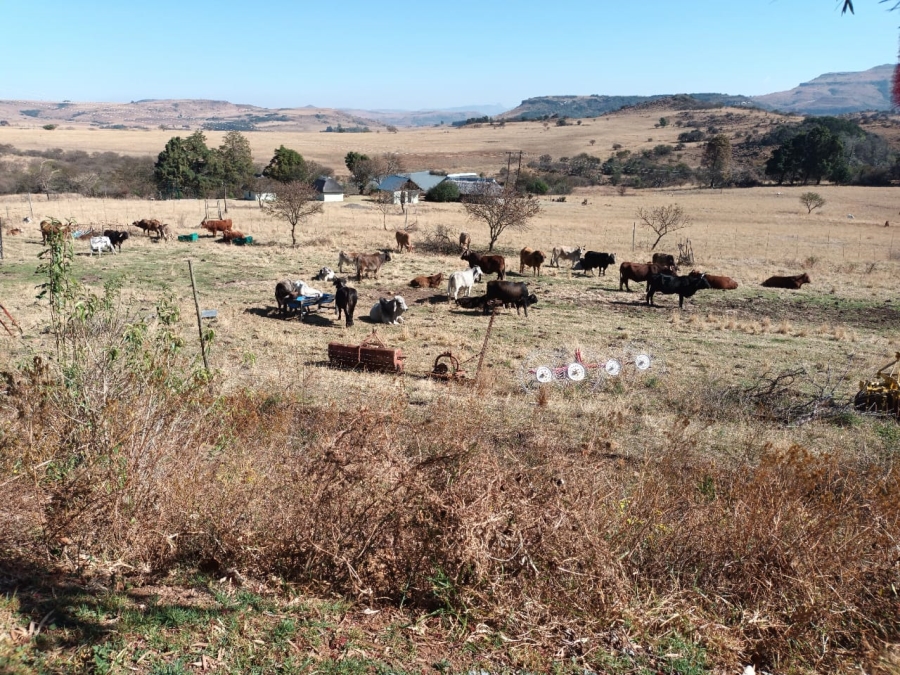 Commercial Property for Sale in Newcastle Rural KwaZulu-Natal