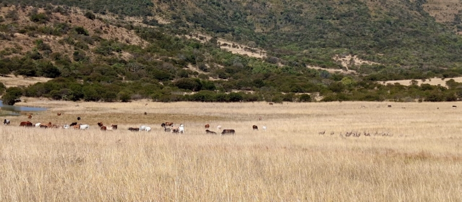 Commercial Property for Sale in Newcastle Rural KwaZulu-Natal