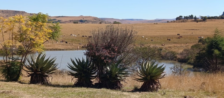 Commercial Property for Sale in Newcastle Rural KwaZulu-Natal