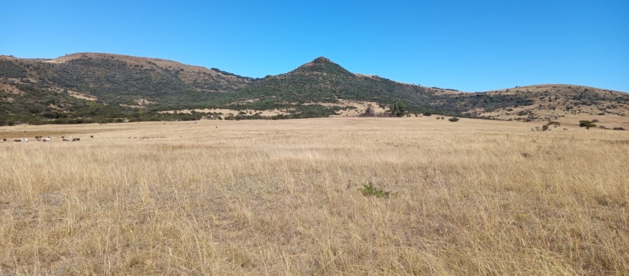 Commercial Property for Sale in Newcastle Rural KwaZulu-Natal