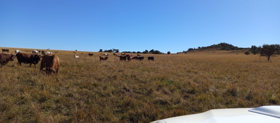 Commercial Property for Sale in Newcastle Rural KwaZulu-Natal
