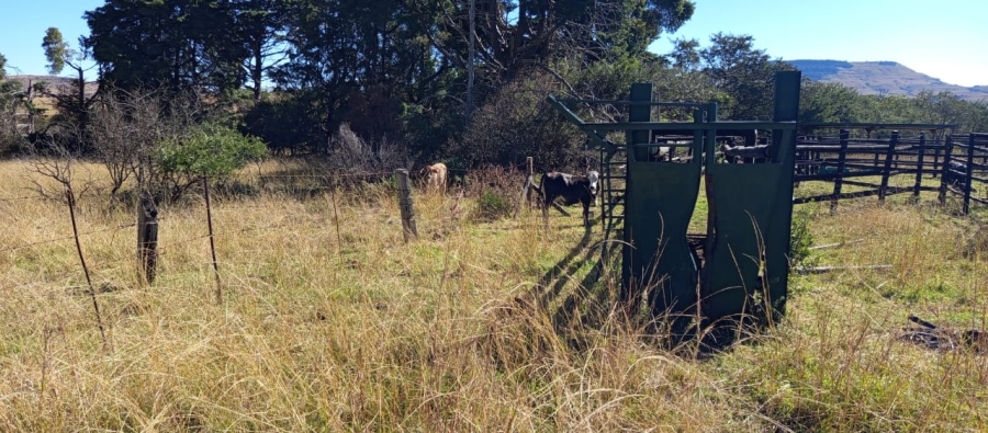Commercial Property for Sale in Newcastle Rural KwaZulu-Natal