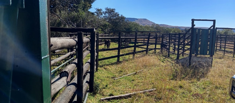 Commercial Property for Sale in Newcastle Rural KwaZulu-Natal