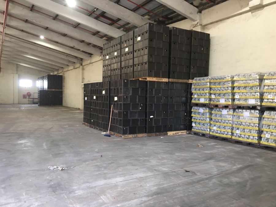 To Let commercial Property for Rent in Kuleka KwaZulu-Natal