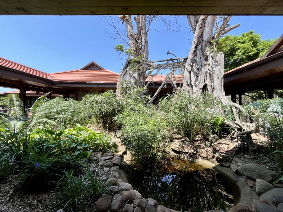3 Bedroom Property for Sale in Zimbali Coastal Resort Estate KwaZulu-Natal