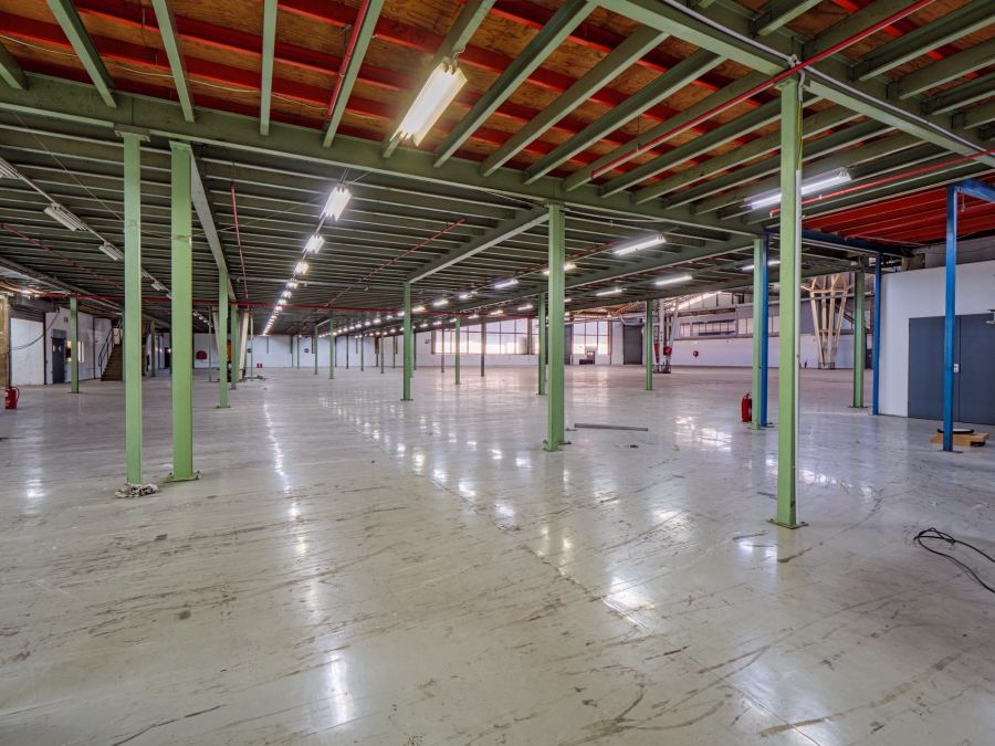 Commercial Property for Sale in Springfield KwaZulu-Natal