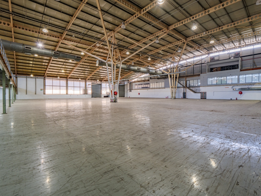 Commercial Property for Sale in Springfield KwaZulu-Natal