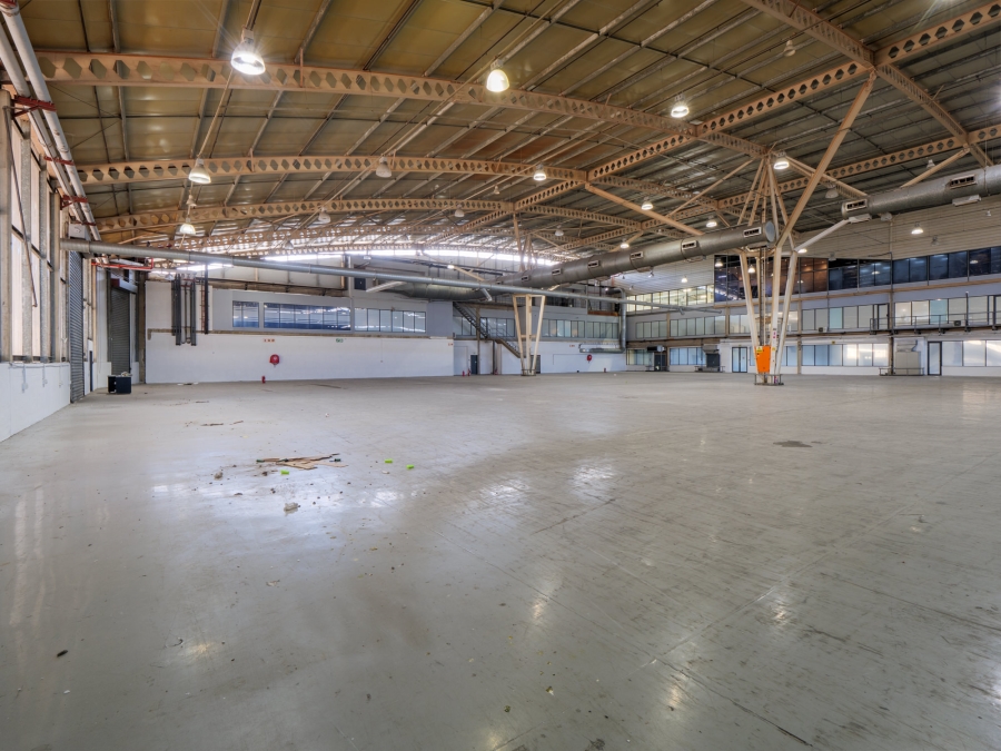Commercial Property for Sale in Springfield KwaZulu-Natal