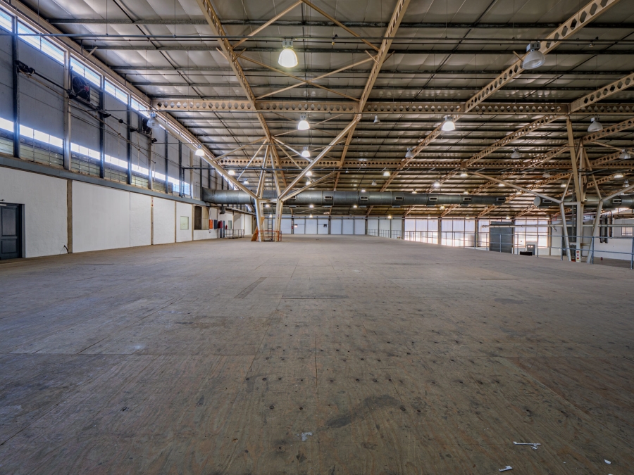 Commercial Property for Sale in Springfield KwaZulu-Natal