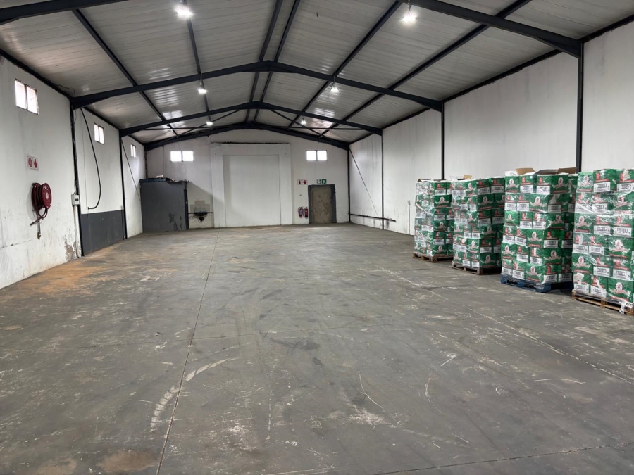 To Let commercial Property for Rent in Willowton KwaZulu-Natal