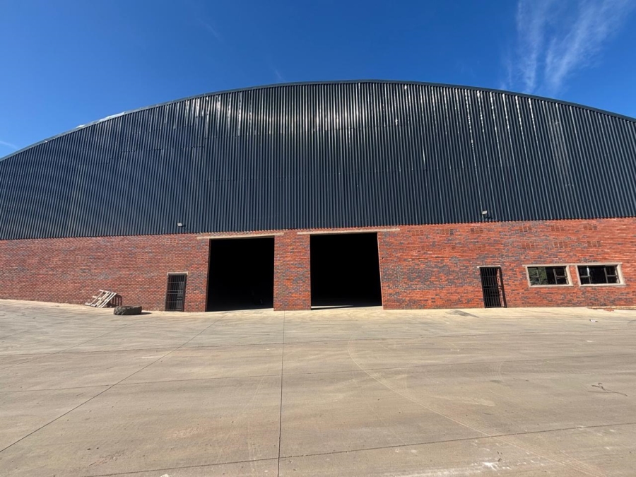 To Let Commercial Property for Rent in Willowton KwaZulu-Natal