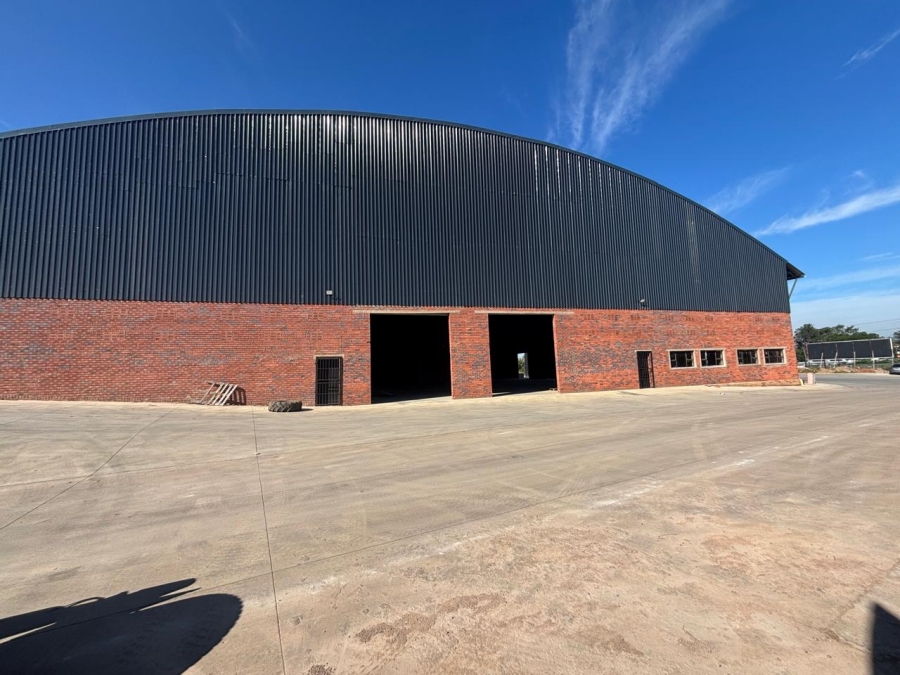 To Let Commercial Property for Rent in Willowton KwaZulu-Natal