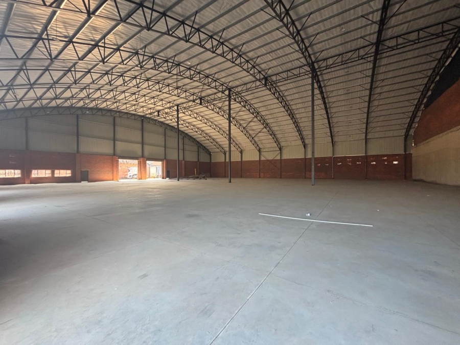 To Let Commercial Property for Rent in Willowton KwaZulu-Natal