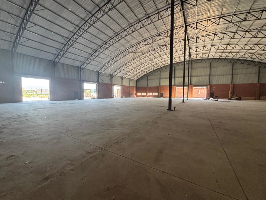 To Let Commercial Property for Rent in Willowton KwaZulu-Natal