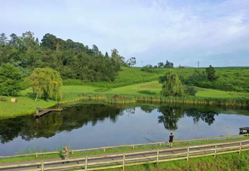 Commercial Property for Sale in Mooi River KwaZulu-Natal