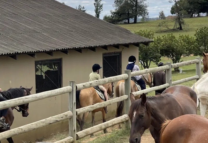Commercial Property for Sale in Mooi River KwaZulu-Natal