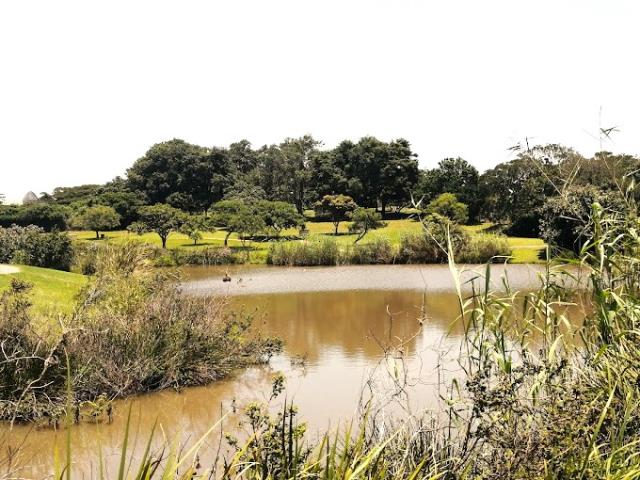 To Let 1 Bedroom Property for Rent in Sheffield Beach KwaZulu-Natal