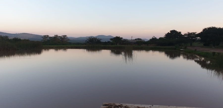 Commercial Property for Sale in Heatonville KwaZulu-Natal