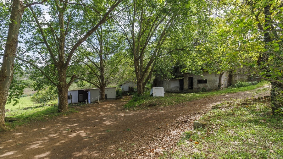 3 Bedroom Property for Sale in Peacevale KwaZulu-Natal