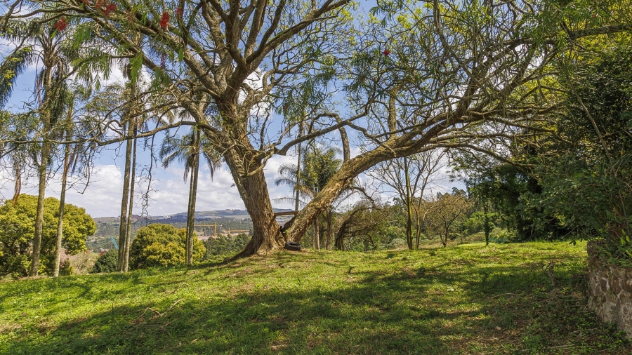 3 Bedroom Property for Sale in Peacevale KwaZulu-Natal