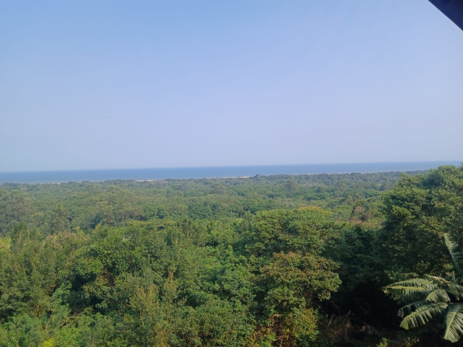 To Let 3 Bedroom Property for Rent in Mtunzini KwaZulu-Natal