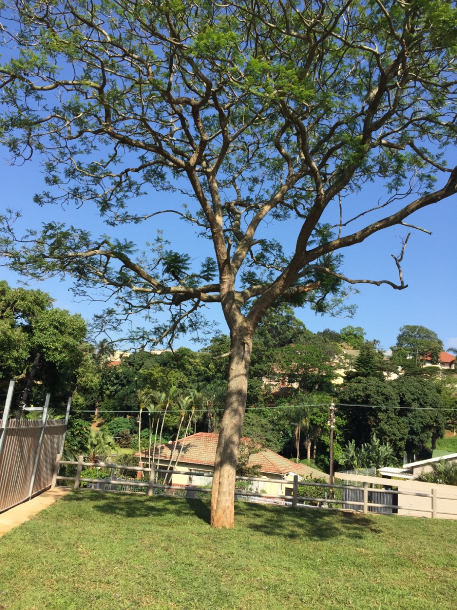 To Let 3 Bedroom Property for Rent in Durban North KwaZulu-Natal