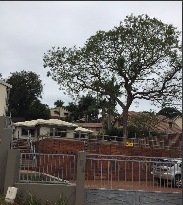 To Let 3 Bedroom Property for Rent in Durban North KwaZulu-Natal