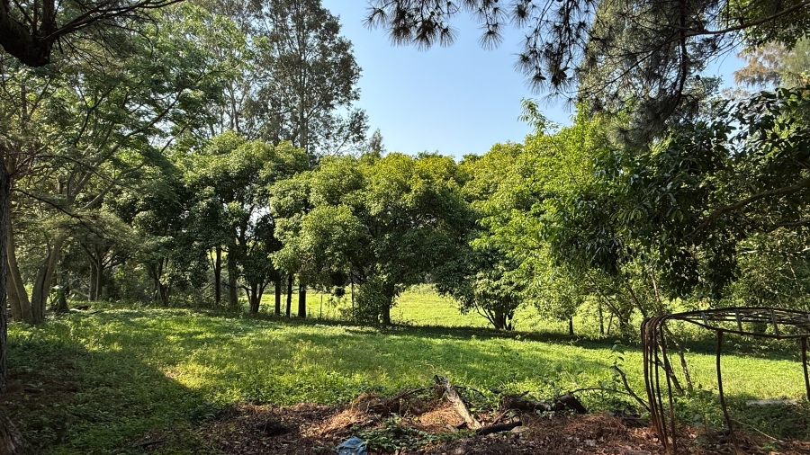 Commercial Property for Sale in Ballito KwaZulu-Natal