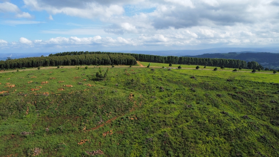 0 Bedroom Property for Sale in Mount Verde KwaZulu-Natal