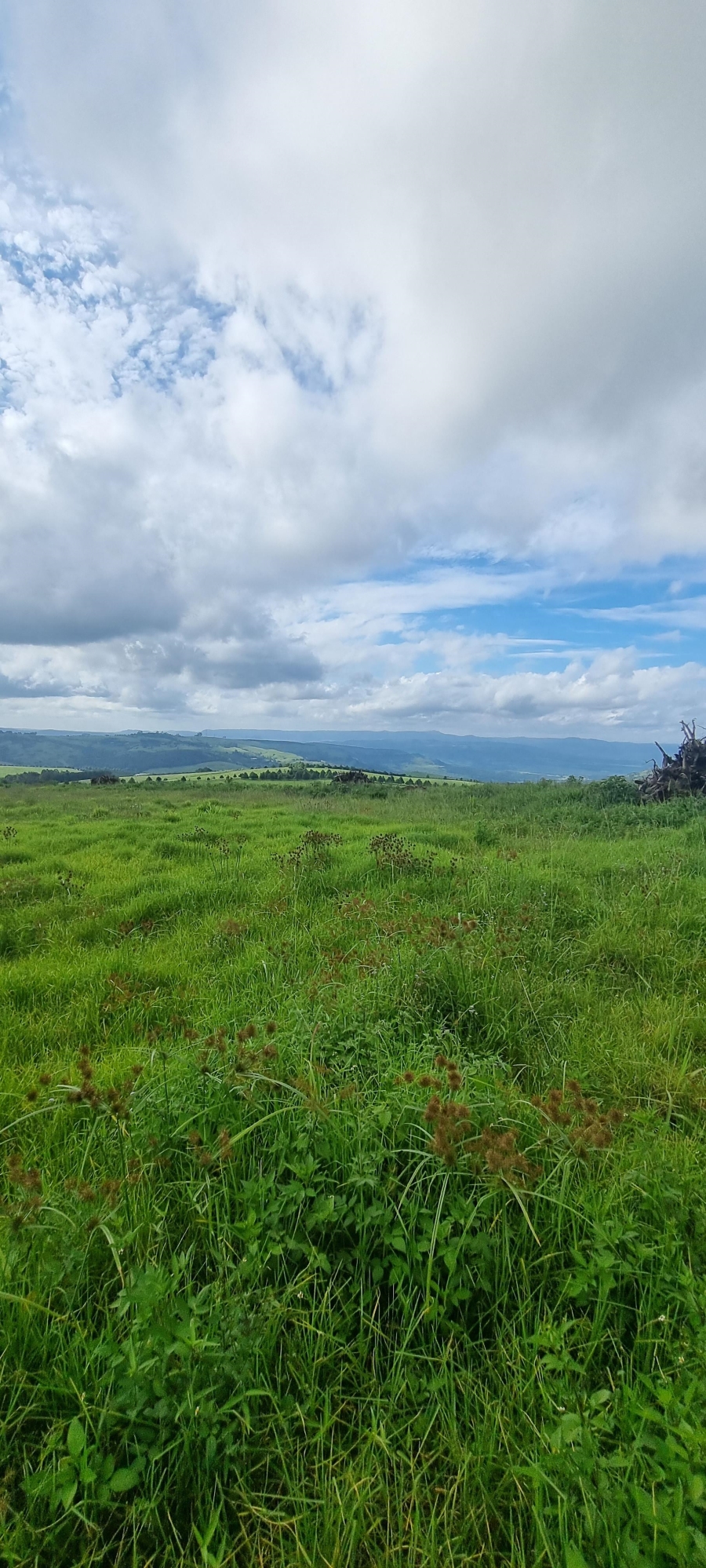 0 Bedroom Property for Sale in Mount Verde KwaZulu-Natal