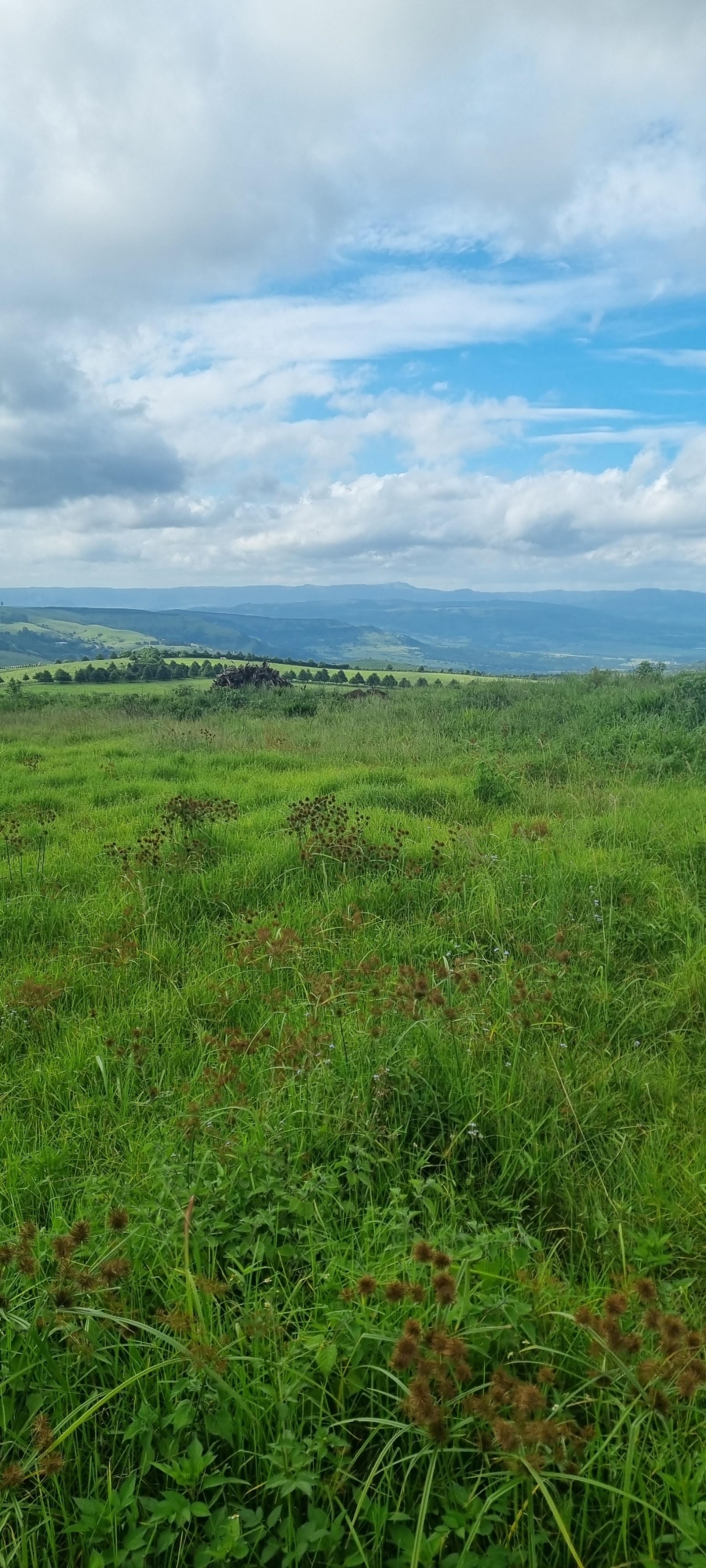 0 Bedroom Property for Sale in Mount Verde KwaZulu-Natal