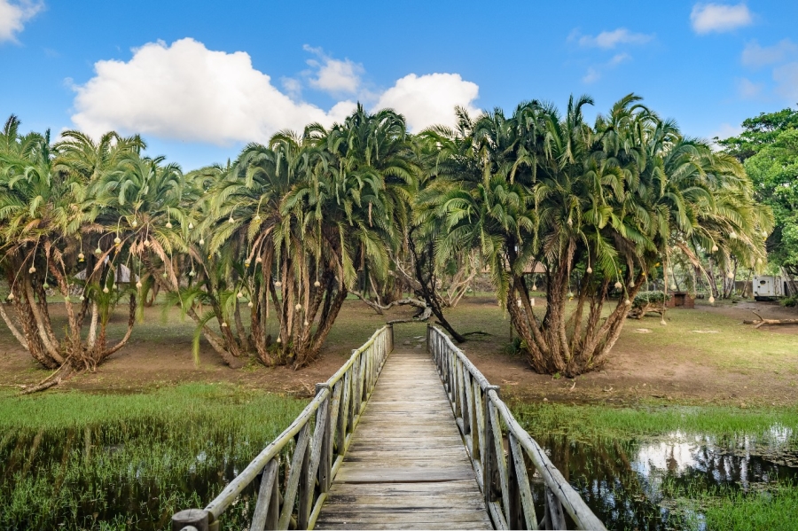 Commercial Property for Sale in Elysium KwaZulu-Natal