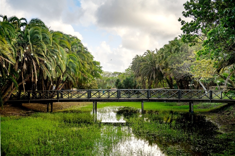 Commercial Property for Sale in Elysium KwaZulu-Natal