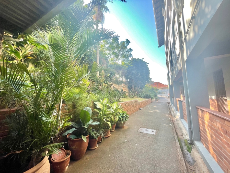 To Let 3 Bedroom Property for Rent in Glenwood KwaZulu-Natal