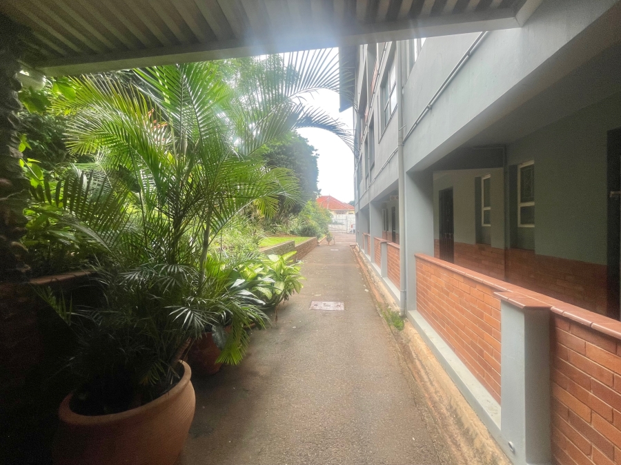 To Let 3 Bedroom Property for Rent in Glenwood KwaZulu-Natal