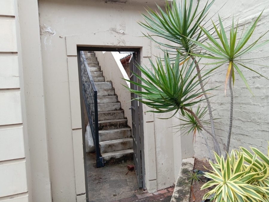 To Let 3 Bedroom Property for Rent in Musgrave KwaZulu-Natal