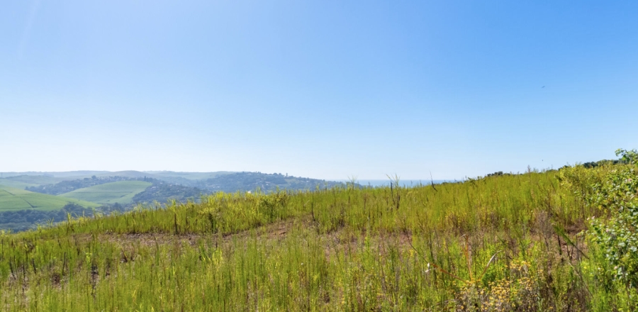 0 Bedroom Property for Sale in Sibaya Precinct KwaZulu-Natal